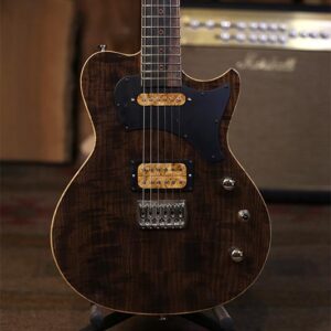 Custom Series Electric Guitars Pluma Model