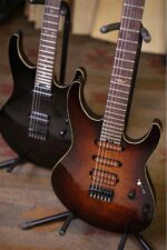 Deluxe Series Electric Guitars Balerion Model