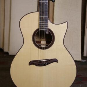 Professional Series Acoustic Guitars