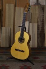 Standard Series Classical And Flamenco Guitars